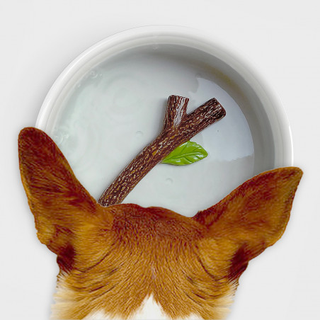 Bol d'eau pour chien avec bâton en trompe-l'œil