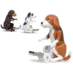 Photo Chien USB