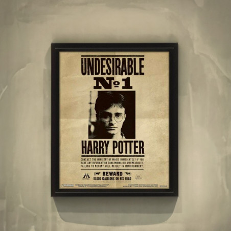 Poster Effet 3D Harry Potter et Sirius - Mycrazystuff.com