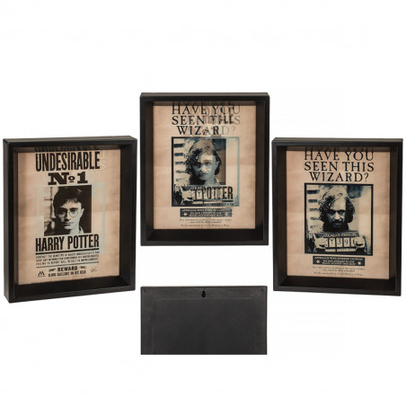 Poster Effet 3D Harry Potter et Sirius - Mycrazystuff.com