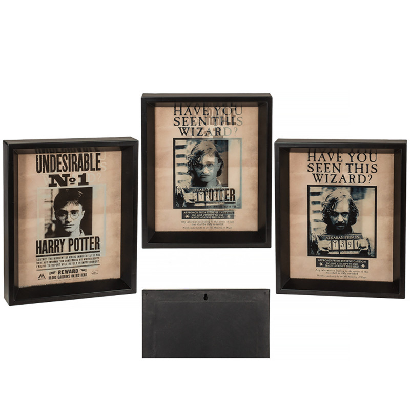 Poster Effet 3D Harry Potter et Sirius - Mycrazystuff.com