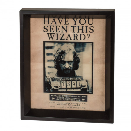 Poster Effet 3D Harry Potter et Sirius - Mycrazystuff.com