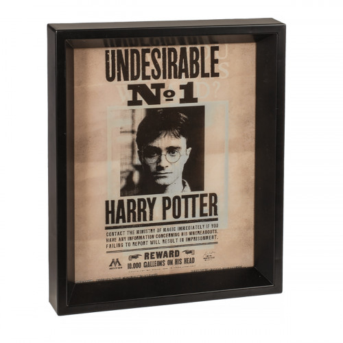 Poster Effet 3D Harry Potter et Sirius - Mycrazystuff.com