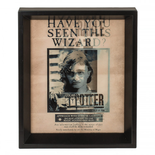 Poster Effet 3D Harry Potter et Sirius - Mycrazystuff.com