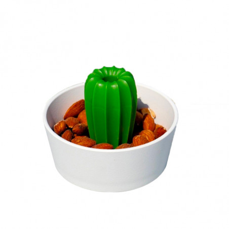 Cacnuts, le bol cactus apéro 2 en 1