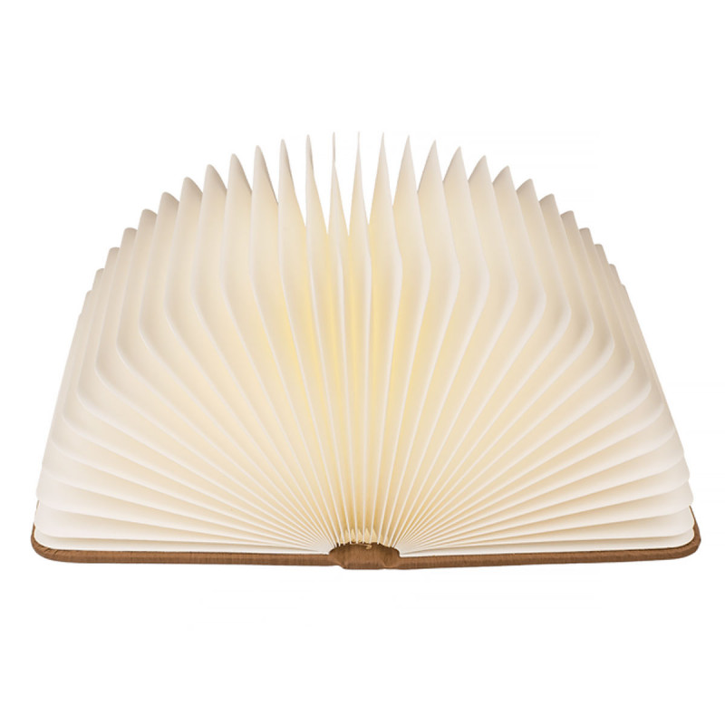 Lampe d'ambiance insolite livre Led - Mycrazystuff