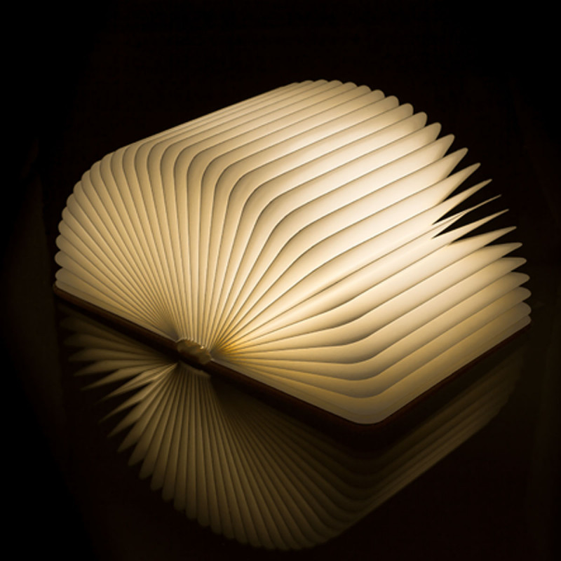 Lampe d'ambiance insolite livre Led - Mycrazystuff