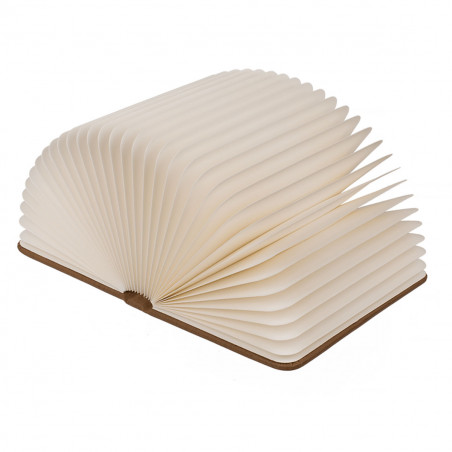 Lampe d'ambiance insolite livre Led - Mycrazystuff
