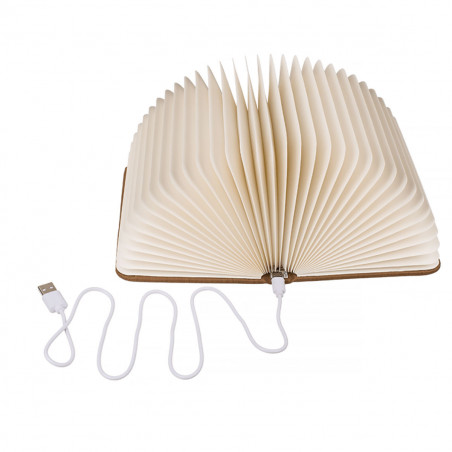 Lampe d'ambiance insolite livre Led - Mycrazystuff