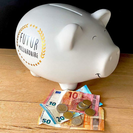 Tirelire cochon XXL Futur Milliardaire - Mycrazystuff