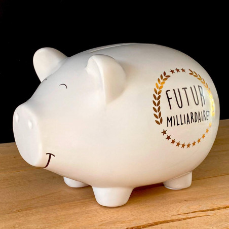 Tirelire cochon XXL Futur Milliardaire - Mycrazystuff