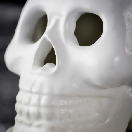 Tête de mort Brûleur d'Encens Gift Republic - Fusion d'Art et de Parfum - Mycrazystuff.com