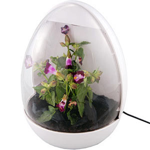 Vente Serre USB