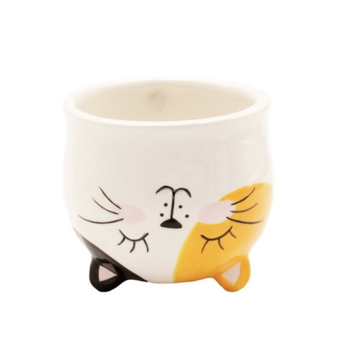 mug reversible chat