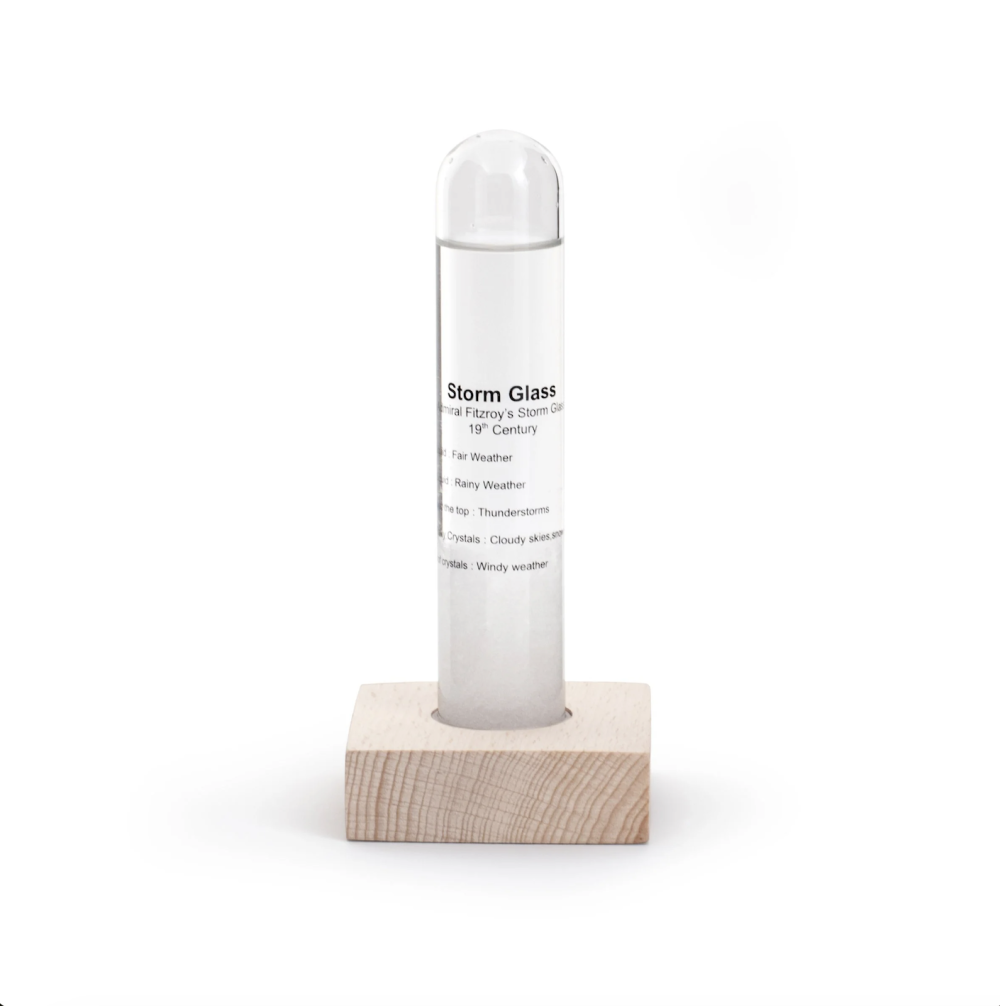 Loupe En Bois Kikkerland MG58 - Grossissement 3x - En Bois De Hêtre - Idée Cadeau Originale