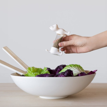 porte cure-dent salière poivrière chat blanc balvi mycrazystuff.com