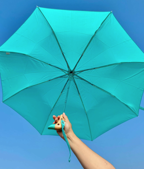 parapluie vert menthe original duckhead Mycrazystuff.com