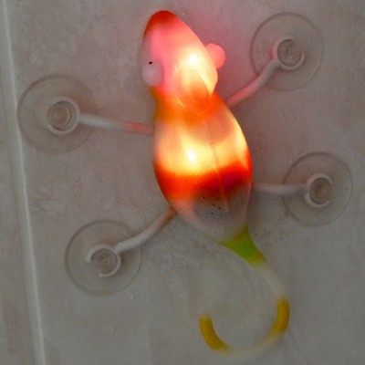 Radio de douche Caméléon