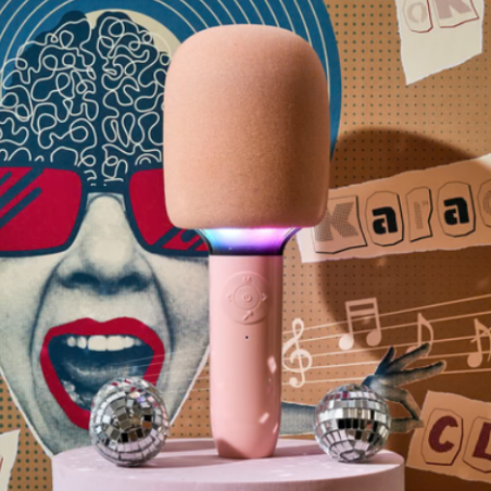 Micro Karaoke Je Chante Comme Celine - La Chaise Longue mycrazystuff.com