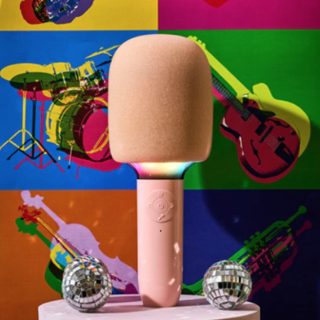 Micro Karaoke Je Chante Comme Celine - La Chaise Longue mycrazystuff.com