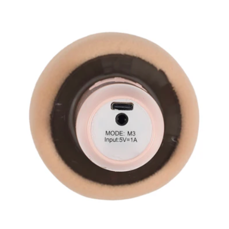 Micro Karaoke Je Chante Comme Celine - La Chaise Longue mycrazystuff.com