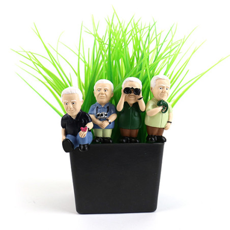 Décoration pour plantes en pot explorateurs mycrazystuff.com