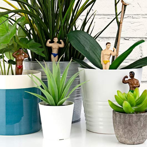 Décoration pour Plante en Pot Hommes Musclés mycrazystuff.com
