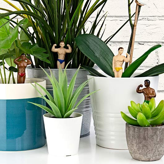 Décoration pour Plante en Pot Hommes Musclés mycrazystuff.com