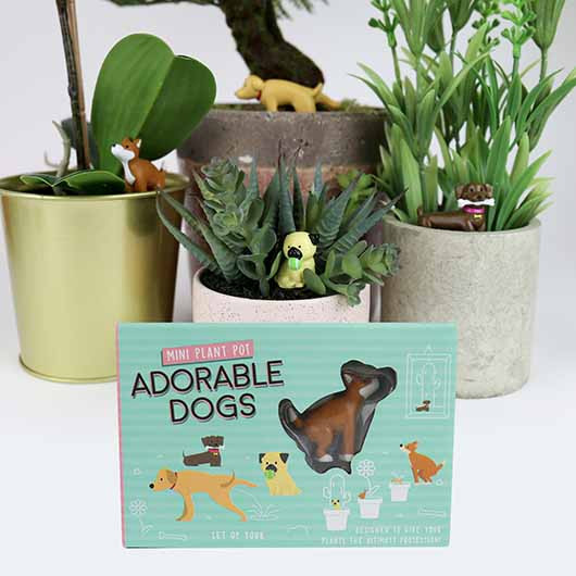 Décoration Pour Plante en Pot Chien mycrazystuff.com