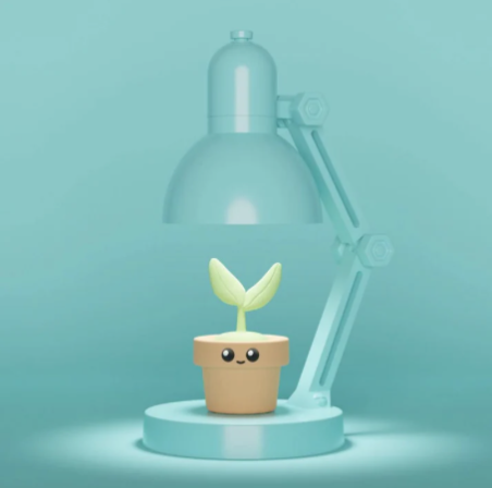 Mini lampe plante – Veilleuse déco fun et lumineuse - Mycrazystuff.com