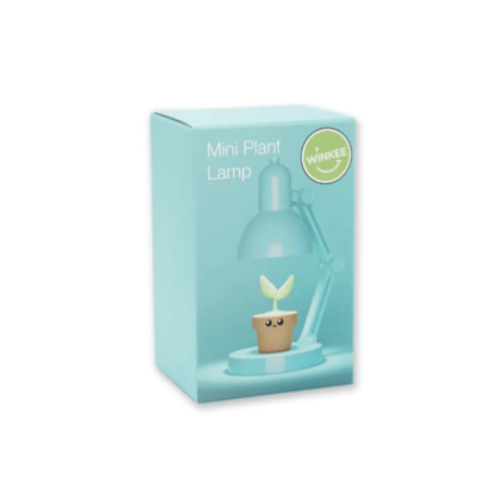 Mini lampe plante – Veilleuse déco fun et lumineuse - Mycrazystuff.com