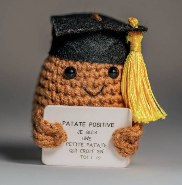 Étudiant Positif – Figurine motivation pour études et examens - Mycrazystuff.com