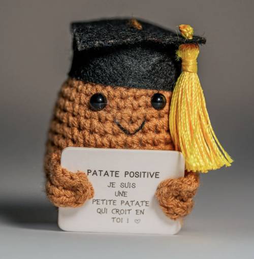 Étudiant Positif – Figurine motivation pour études et examens - Mycrazystuff.com