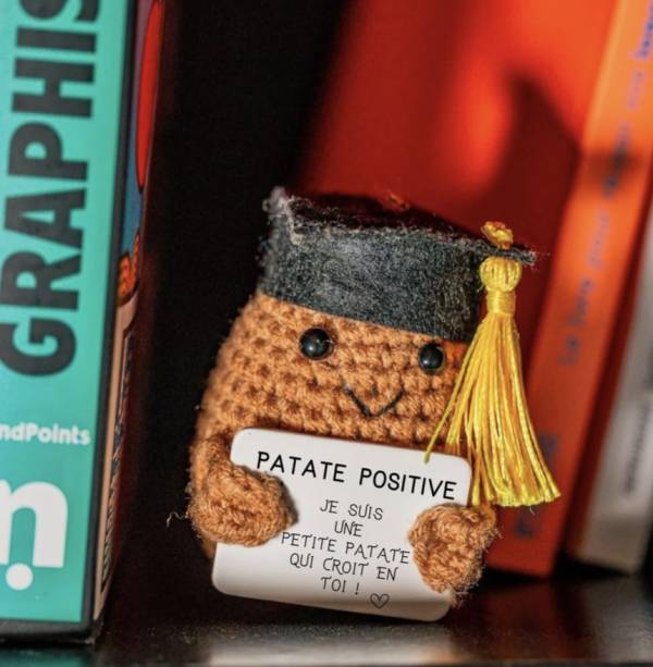 Étudiant Positif – Figurine motivation pour études et examens - Mycrazystuff.com