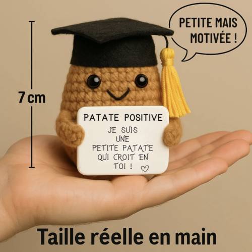 Étudiant Positif – Figurine motivation pour études et examens - Mycrazystuff.com