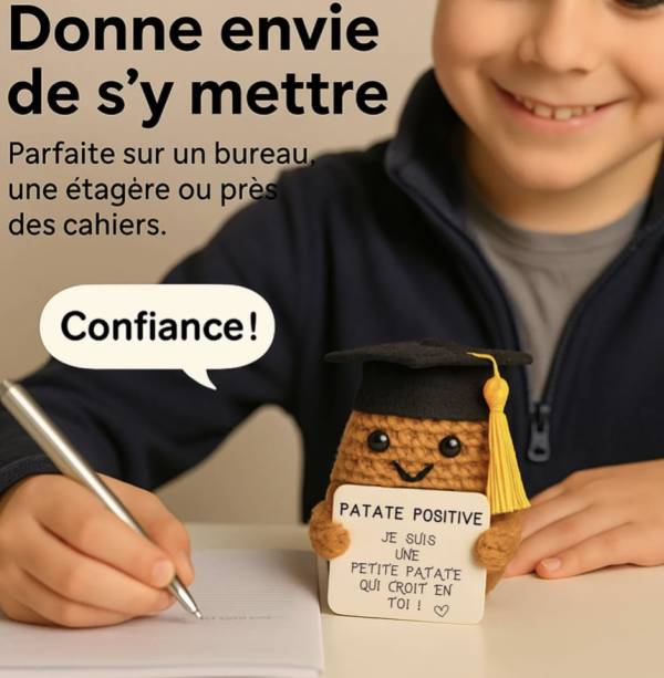 Étudiant Positif – Figurine motivation pour études et examens - Mycrazystuff.com