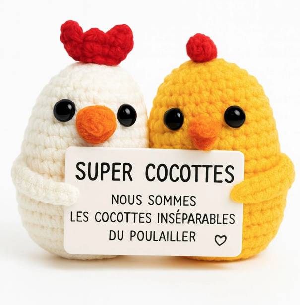 Super Cocottes – Figurines positives fun et motivantes - Mycrazystuff