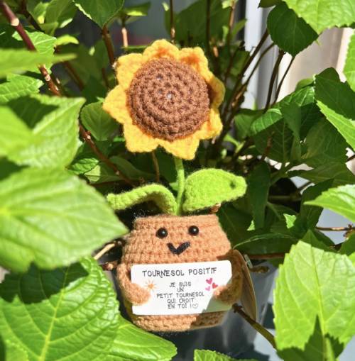 Tournesol positif – Figurine solaire & good vibes - Mycrazystuff.com