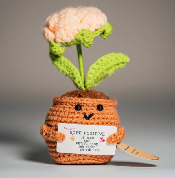 Petite rose positive – Objet déco douceur & good vibes - Mycrazystuff.com