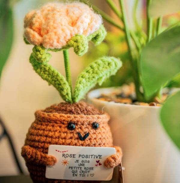 Petite rose positive – Objet déco douceur & good vibes - Mycrazystuff.com