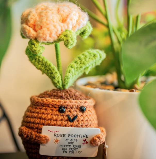 Petite rose positive – Objet déco douceur & good vibes - Mycrazystuff.com