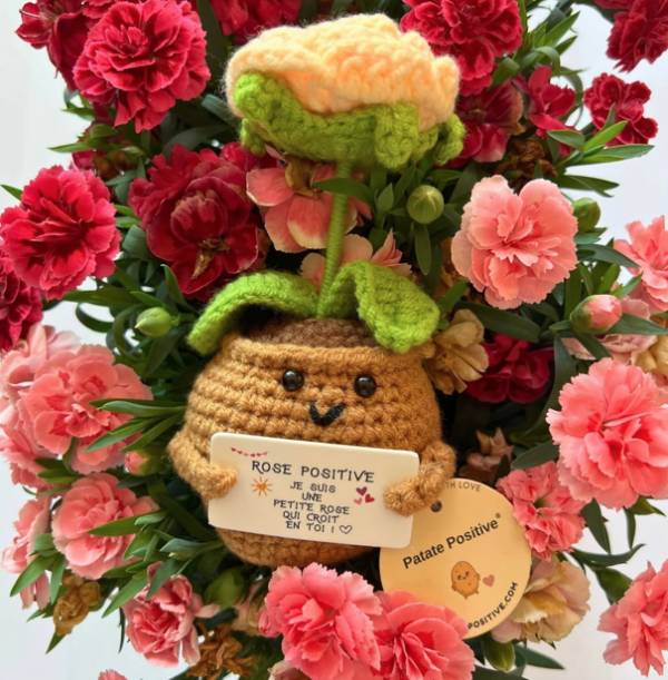 Petite rose positive – Objet déco douceur & good vibes - Mycrazystuff.com