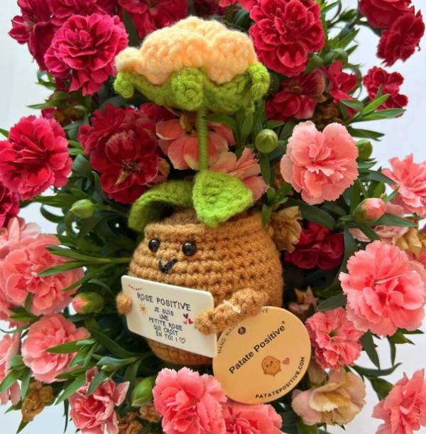 Petite rose positive – Objet déco douceur & good vibes - Mycrazystuff.com