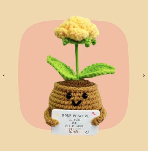 Petite rose positive – Objet déco douceur & good vibes - Mycrazystuff.com