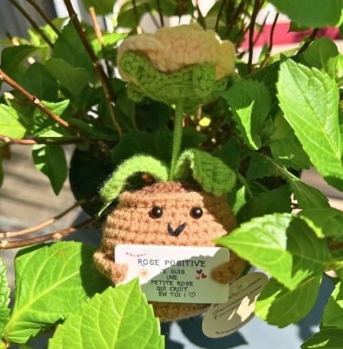 Petite rose positive – Objet déco douceur & good vibes - Mycrazystuff.com