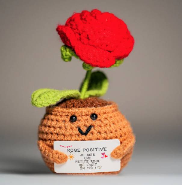 Rose positive rouge – Objet déco amour & good vibes - Mycrazystuff.com