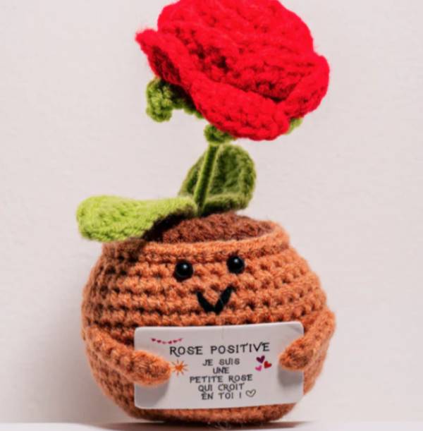 Rose positive rouge – Objet déco amour & good vibes - Mycrazystuff.com