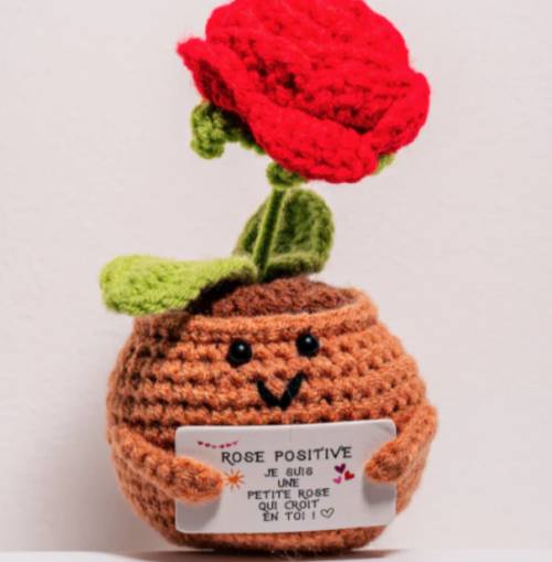 Rose positive rouge – Objet déco amour & good vibes - Mycrazystuff.com