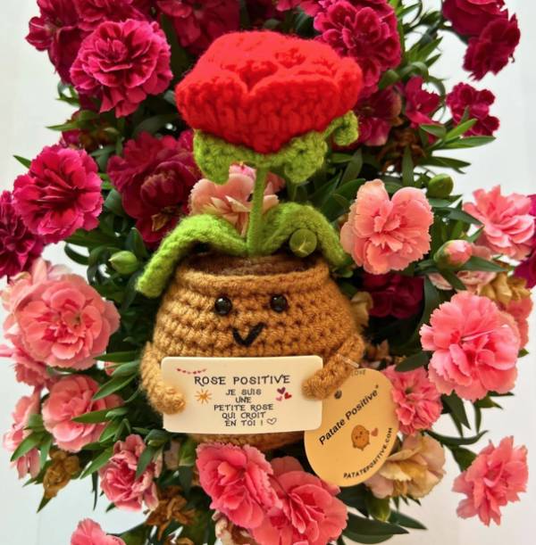 Rose positive rouge – Objet déco amour & good vibes - Mycrazystuff.com