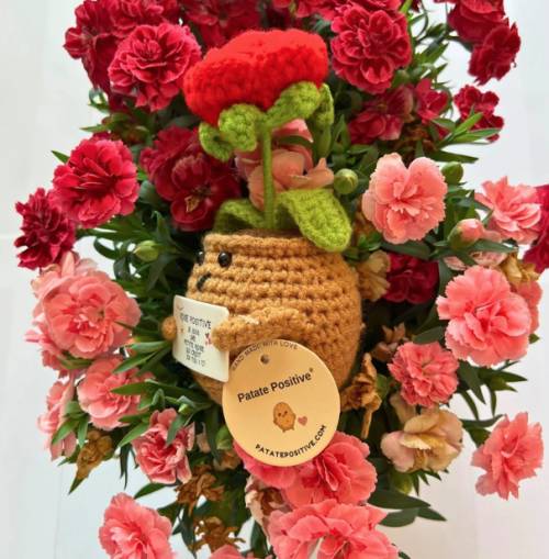 Rose positive rouge – Objet déco amour & good vibes - Mycrazystuff.com